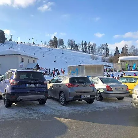 Lodge Na Drisi Destne v Orlickych horach