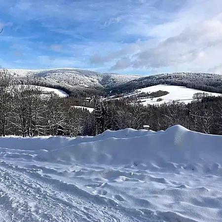 Lodge Na Drisi Destne v Orlickych horach