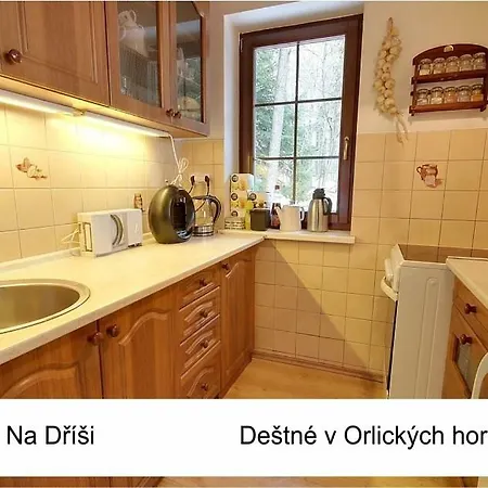 Lodge Na Drisi Destne v Orlickych horach