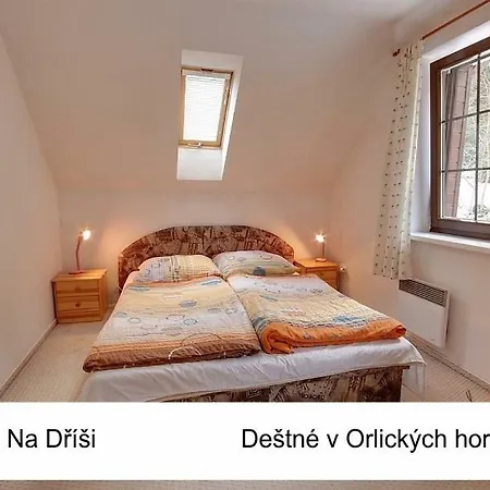 Lodge Na Drisi Destne v Orlickych horach