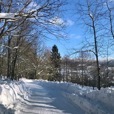 Lodge Na Drisi Destne v Orlickych horach