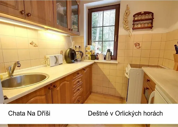 Jaktstuga Na Drisi Destne v Orlickych horach