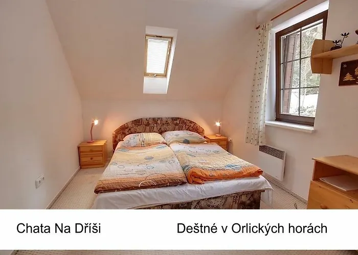 Jaktstuga Na Drisi Destne v Orlickych horach