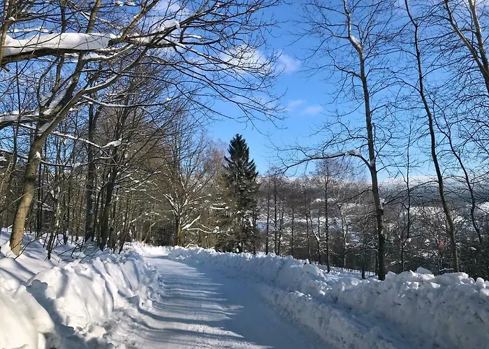 Jaktstuga Na Drisi Destne v Orlickych horach